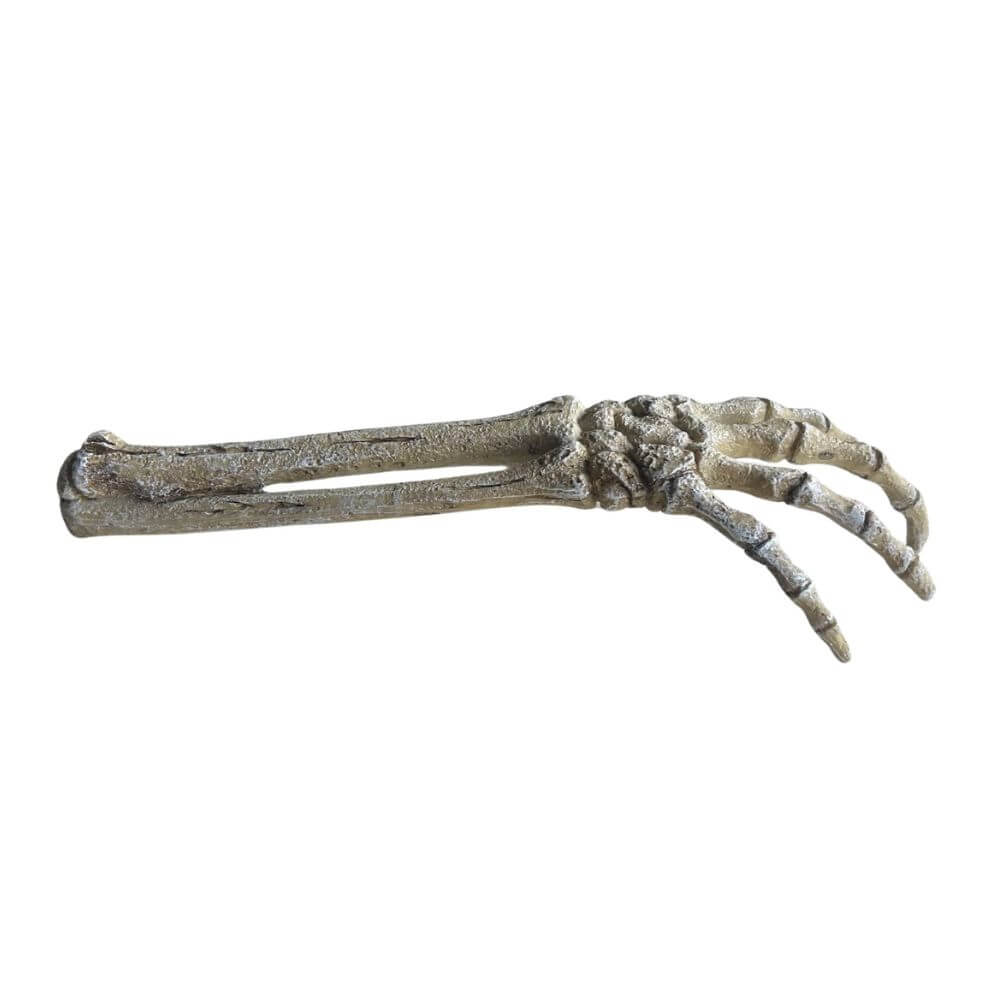 Betta Skeleton Hand