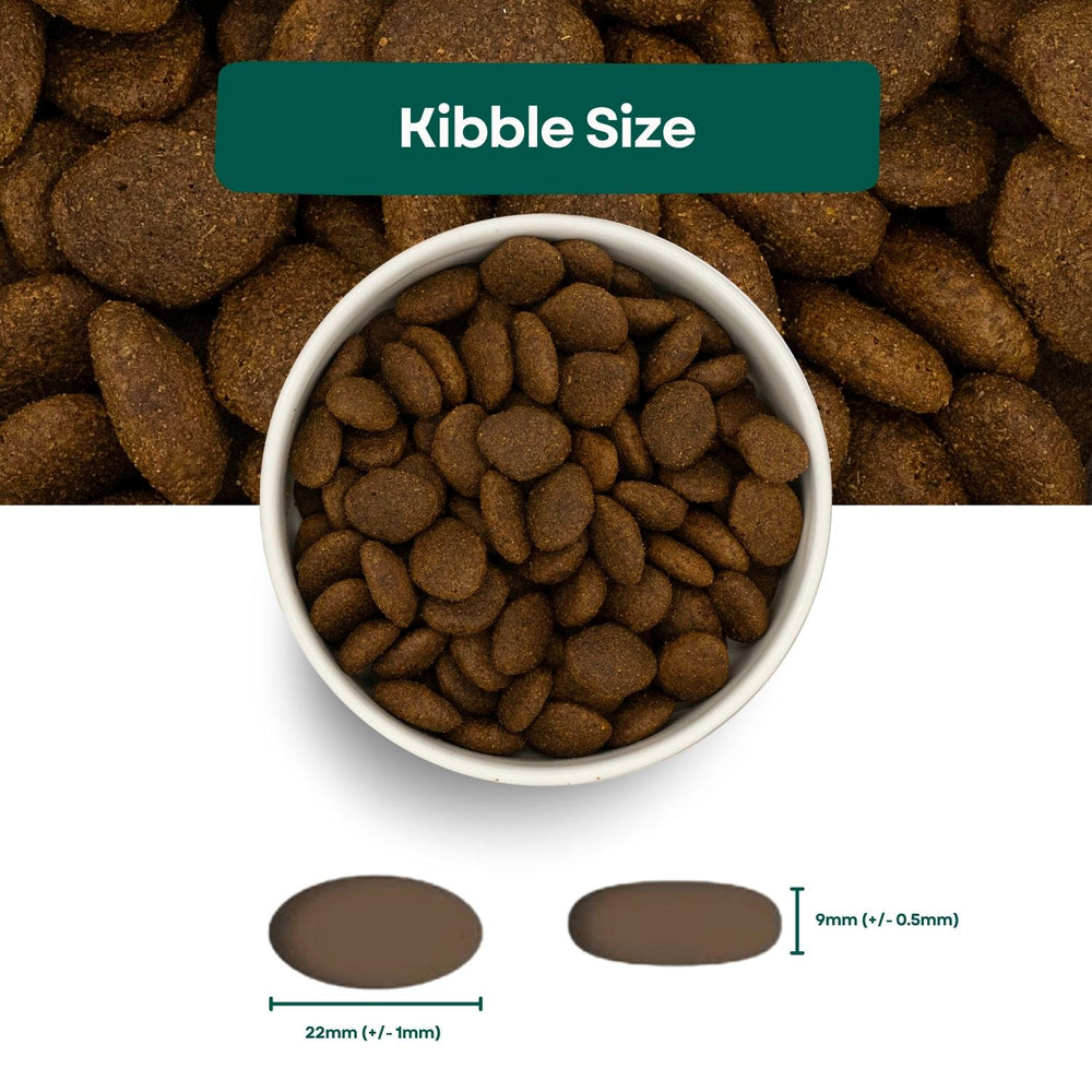 Pet Connection Super Premium Salmon, Trout, Potato & Skin-Soothe Adult Hypoallergenic Dry Dog Food