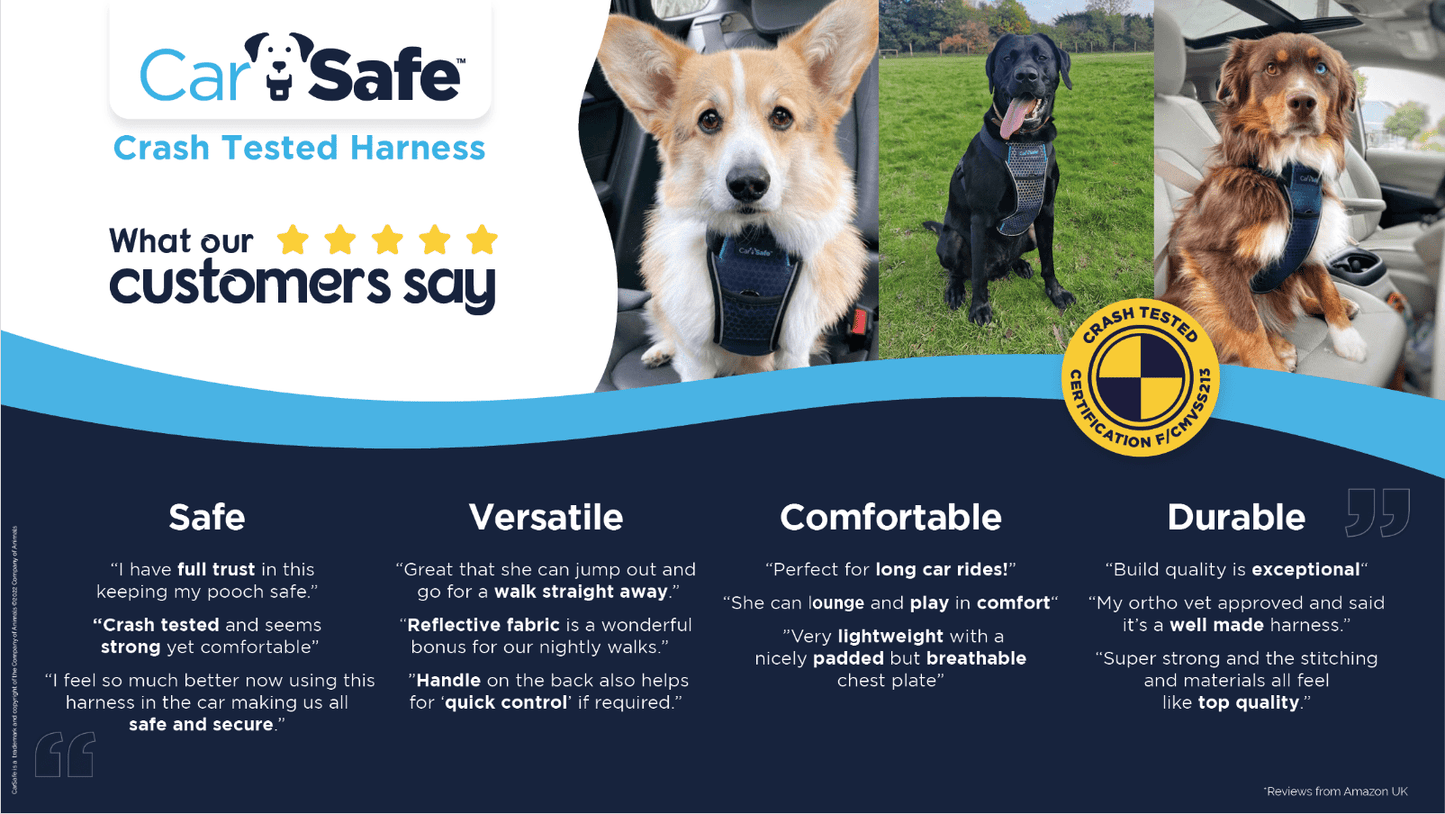 CarSafe Crash Tested Dog Harness | In-Car Safety & Walking Harness by Company of Animals