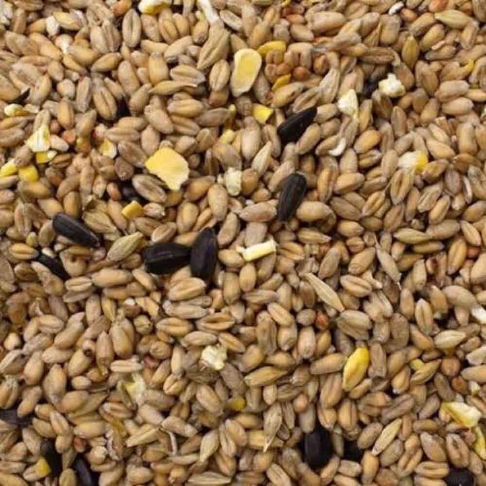Pedro Coarse Wild Bird Seed - 2kg