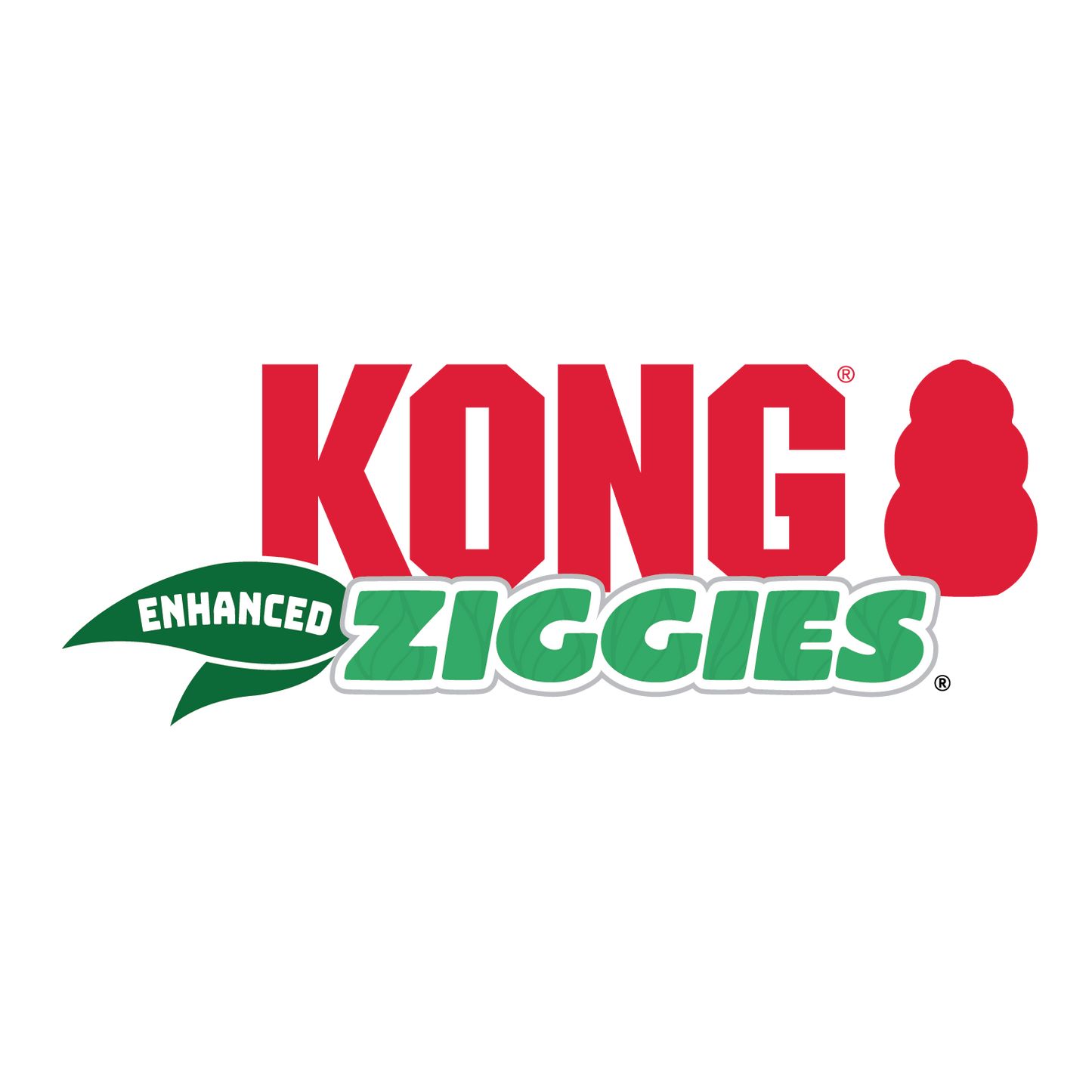 KONG Plant Based Dental Adult Dog Treat 🌿 Ziggies 2.0