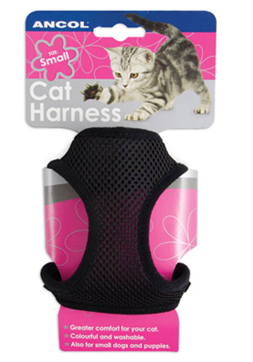 Ancol Cat Harness & Lead Set Small / Black