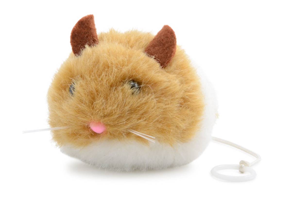 Ancol Jittery Mouse Cat Toy | Interactive Vibrating Play | Pet Instinc petconnection.ie Ancol Jittery Mouse Cat Toy | Interactive Vibrating Play | Pet Instinc petconnection.ie