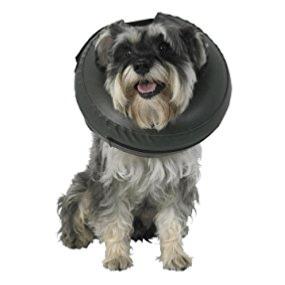 Thrive | Inflatable Surgical Recovery | Comfy Collar