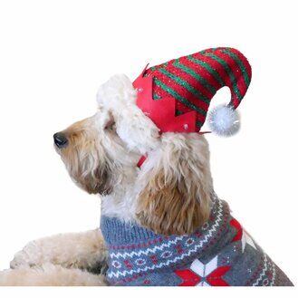 Flashing Elf Hat | Christmas Dog Dress-Up by Cupid & Comet