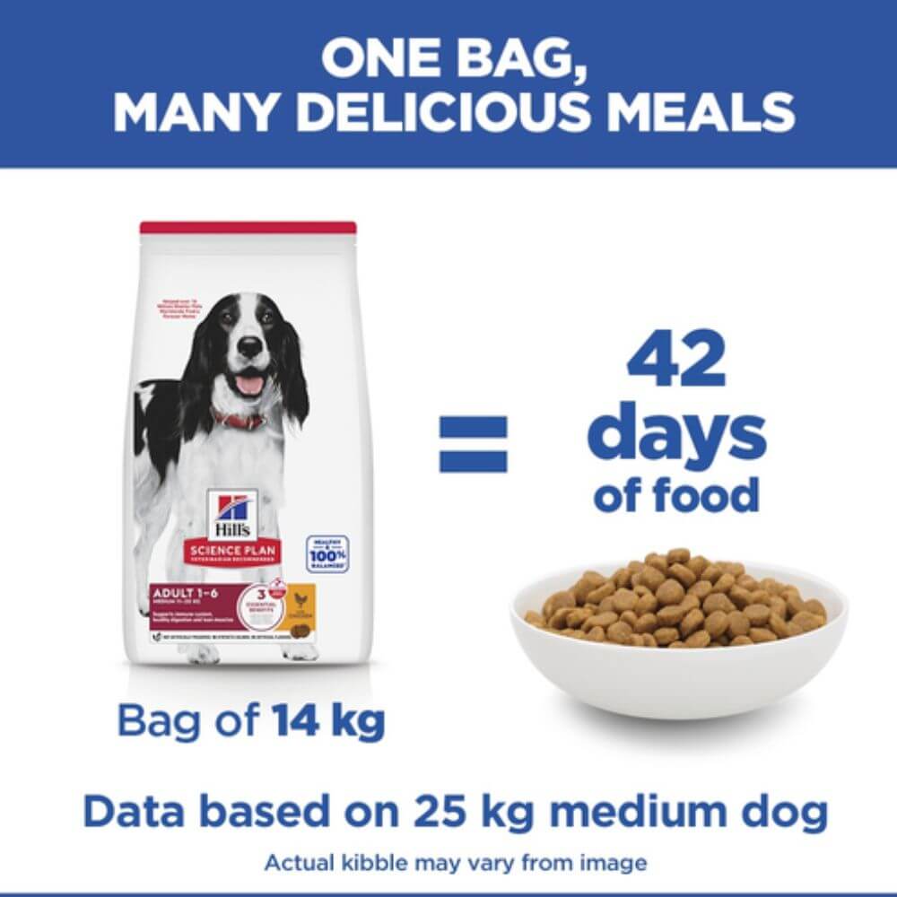 Hill's Science Plan dog food bag shown on a white background with promotional text reading 'ONE BAG, MANY DELICIOUS MEALS', '42 days of food', and 'Bag of 14 kg'. A bowl of kibble is shown on the right, and a black-and-white dog is pictured on the bag.