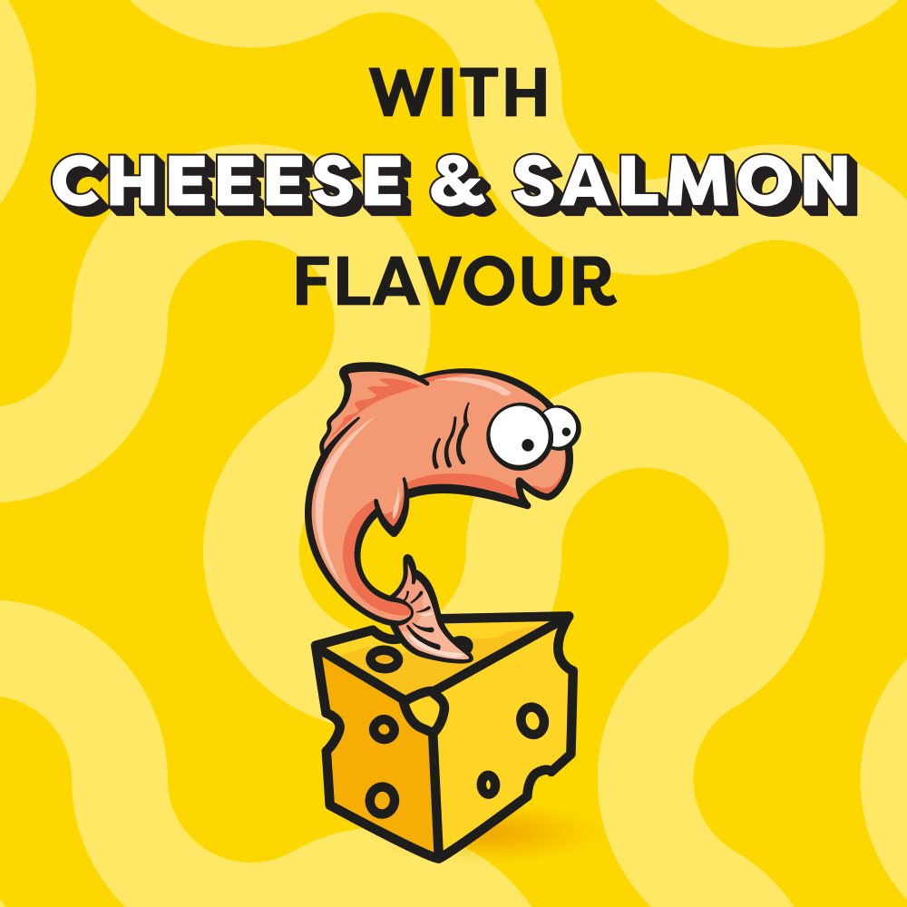 Dreamies | Cat Treats | Salmon & Cheese - 60g