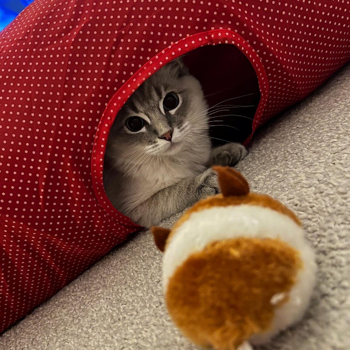 Ancol Jittery Mouse Cat Toy | Interactive Vibrating Play | Pet Instinct Stimulator