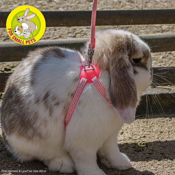 Ancol | Small Pet Enrichment | Rabbit Harness & Lead Set - Pink