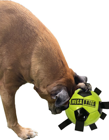 Hem & Boo Pick Me Up Football | Dog Football with Grab Straps | 3 Sizes