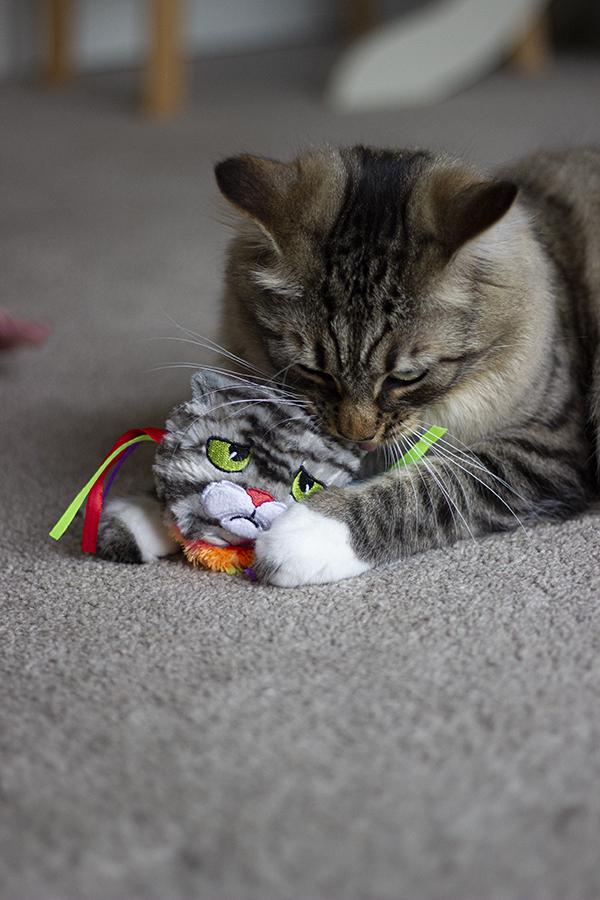 Rosewood | Cat Toy | Moody Moggy Rainbow Grab Toy