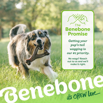 Benebone Bacon Infused Wishbone | Durable Dog Chew Toy