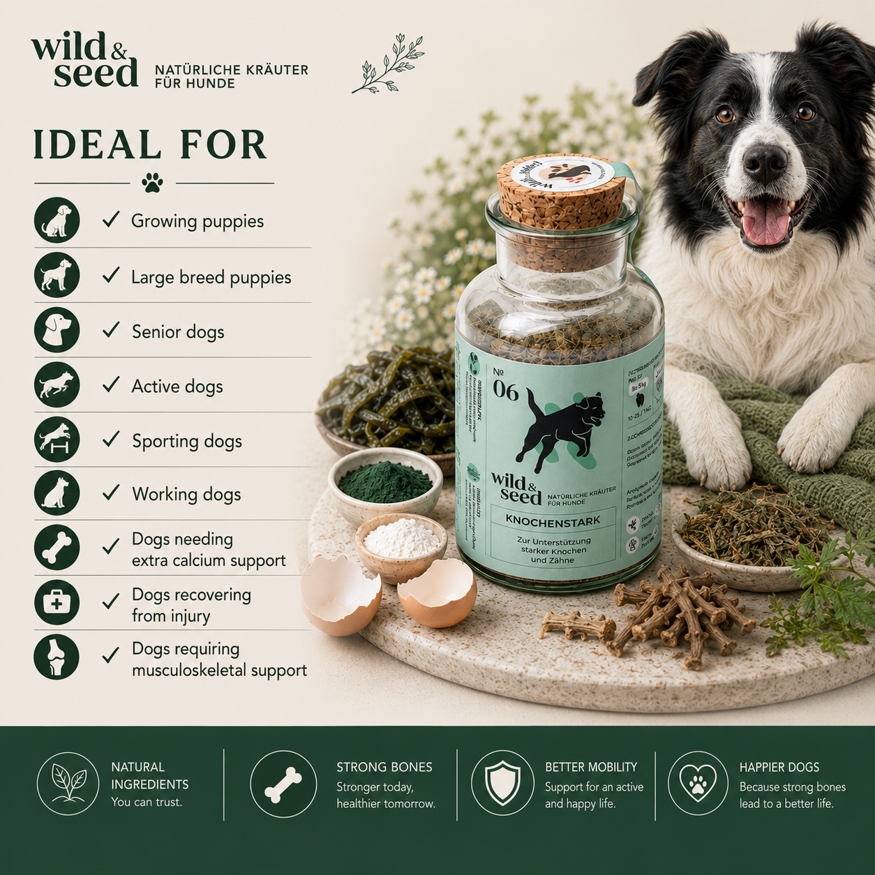 Wild&Seed Herbs No. 6 KnochenStark | Natural Bone, Teeth & Joint Support for Dogs