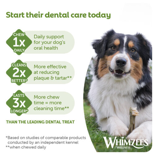Whimzees Stix Natural Veggie Dental Chew for Dogs