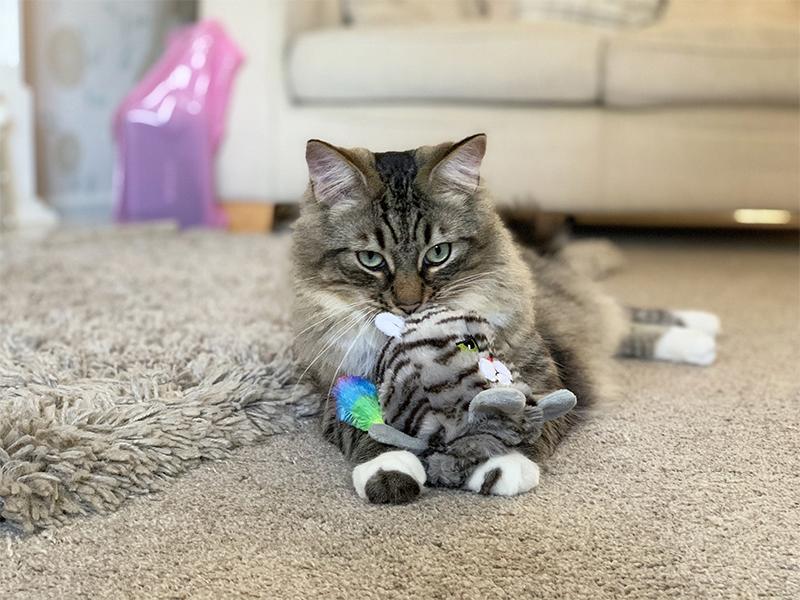 Rosewood | Cat Toy | Moody Moggy Reversible Grab Toy