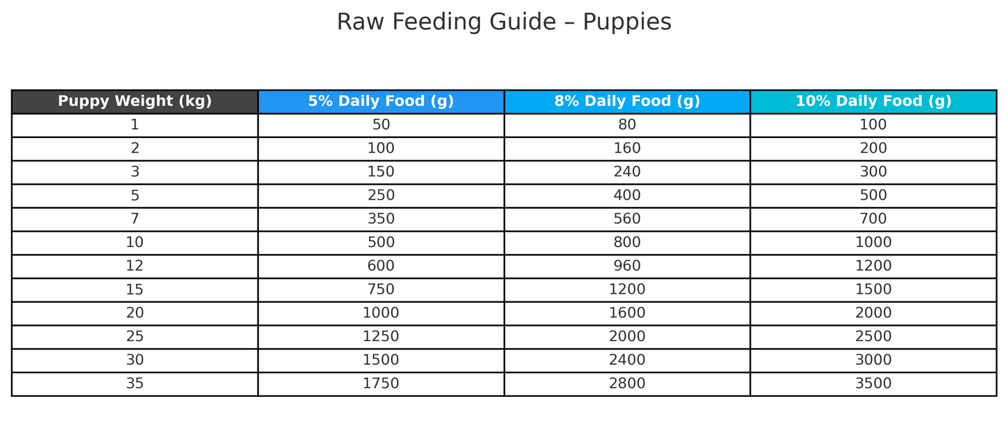 Raw feeding guide for puppies with weight and daily food quantity details.
