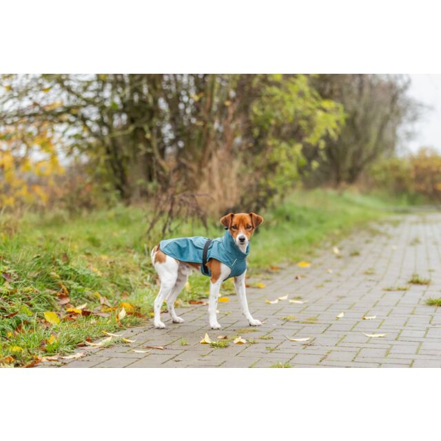 Trixie Petrol Vimy Rain Coat | Dog Weatherproof Clothing