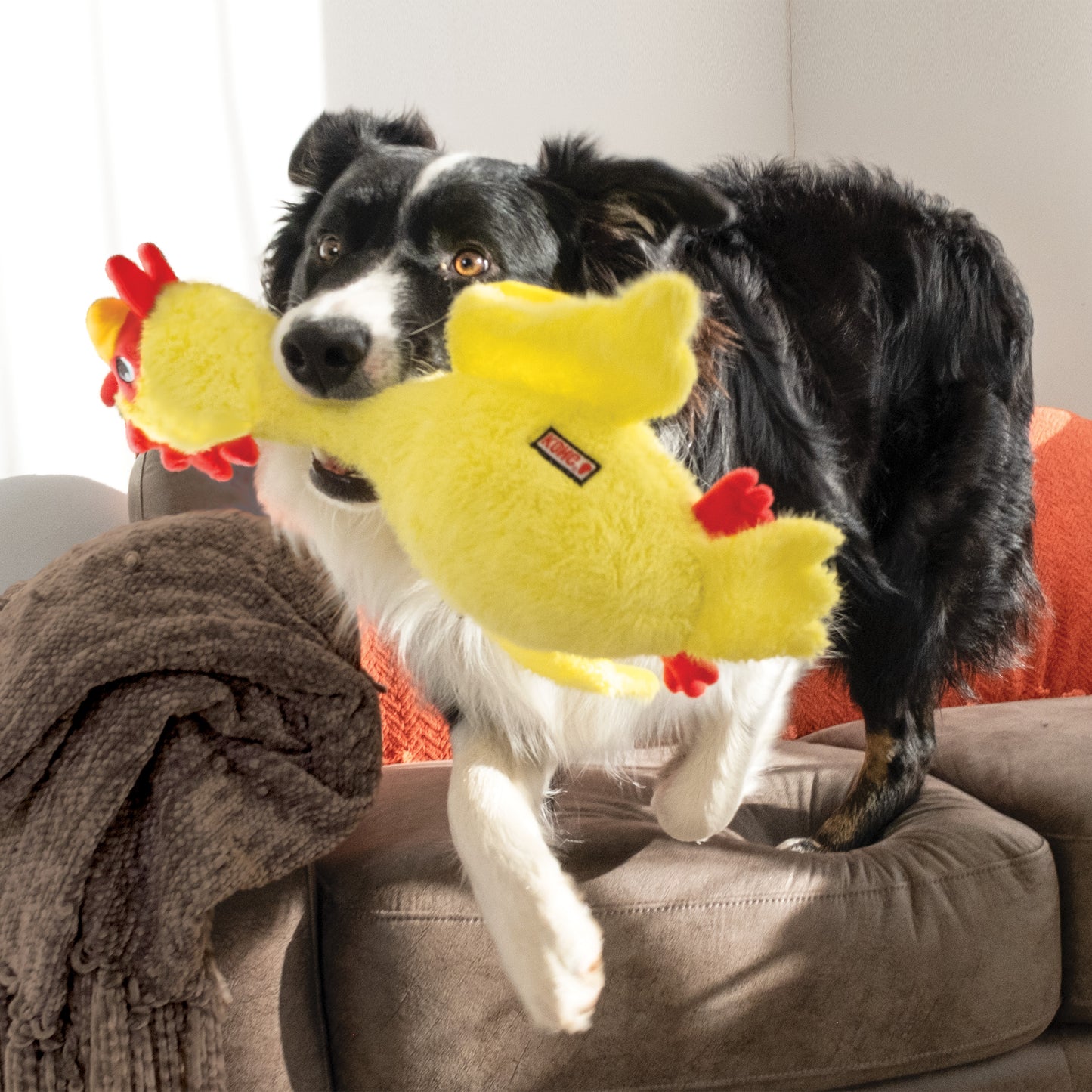 KONG Scruffs Chicken | Long-Neck Plush Squeaky Dog Toy