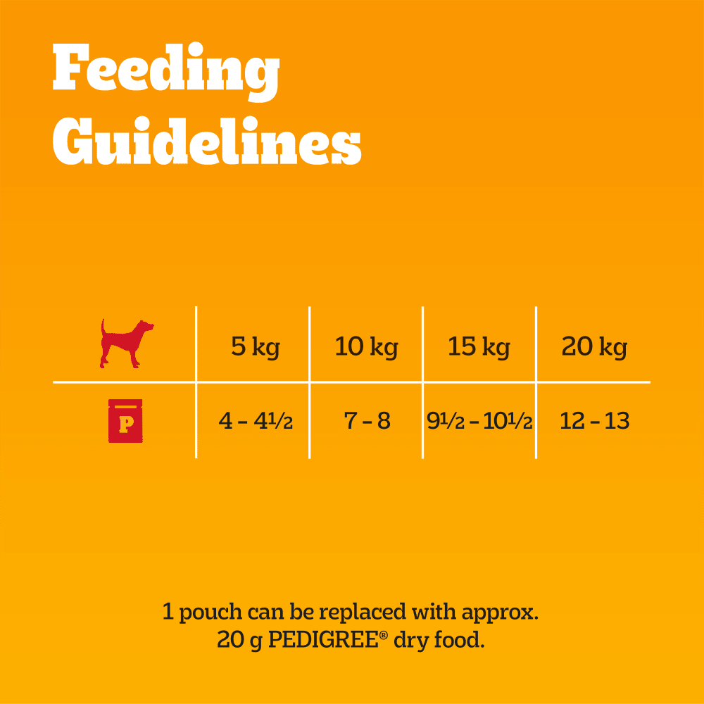 Pedigree Mixed Selection In Gravy Wet Dog Food Pouches 40 x 100g