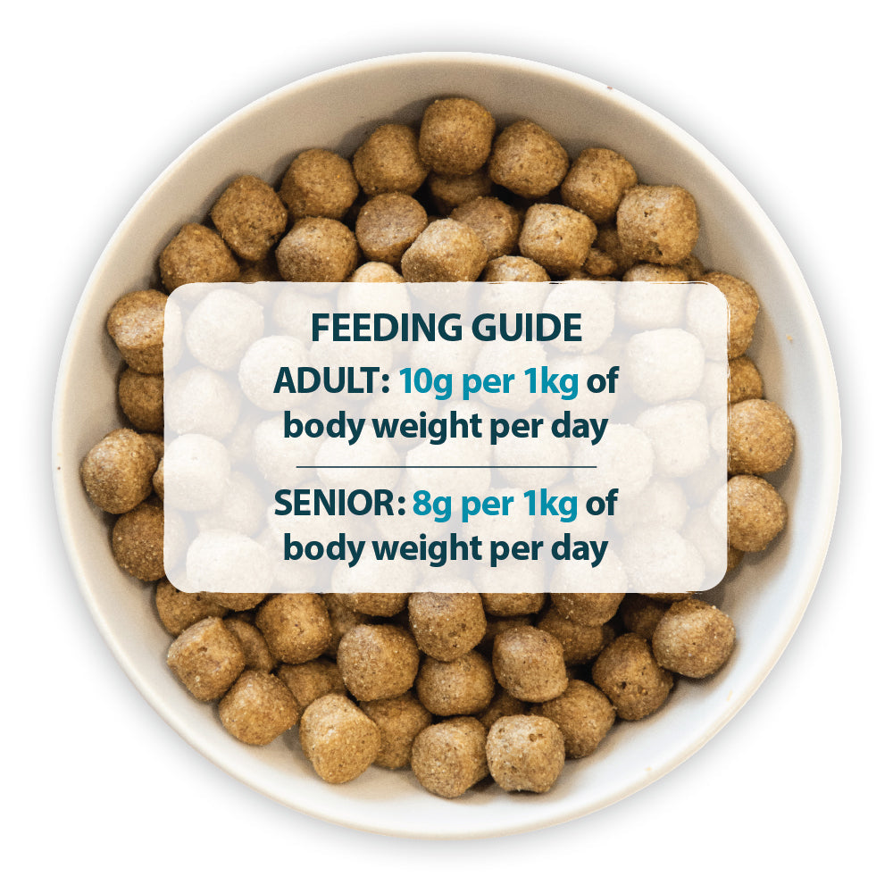 Burns Sensitive Pork & Potato Adult ๐ท Holistic Grain Free Dry Dog Food
