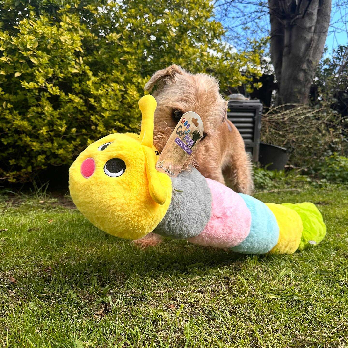 Gor Hugs | Long Caterpillar | Soft Dog Toy