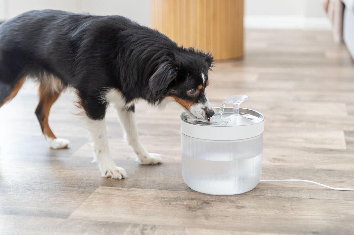 TRIXIE Aqua Clear Dog Drinking Fountain – Stainless Steel Bowl, 2.5L
