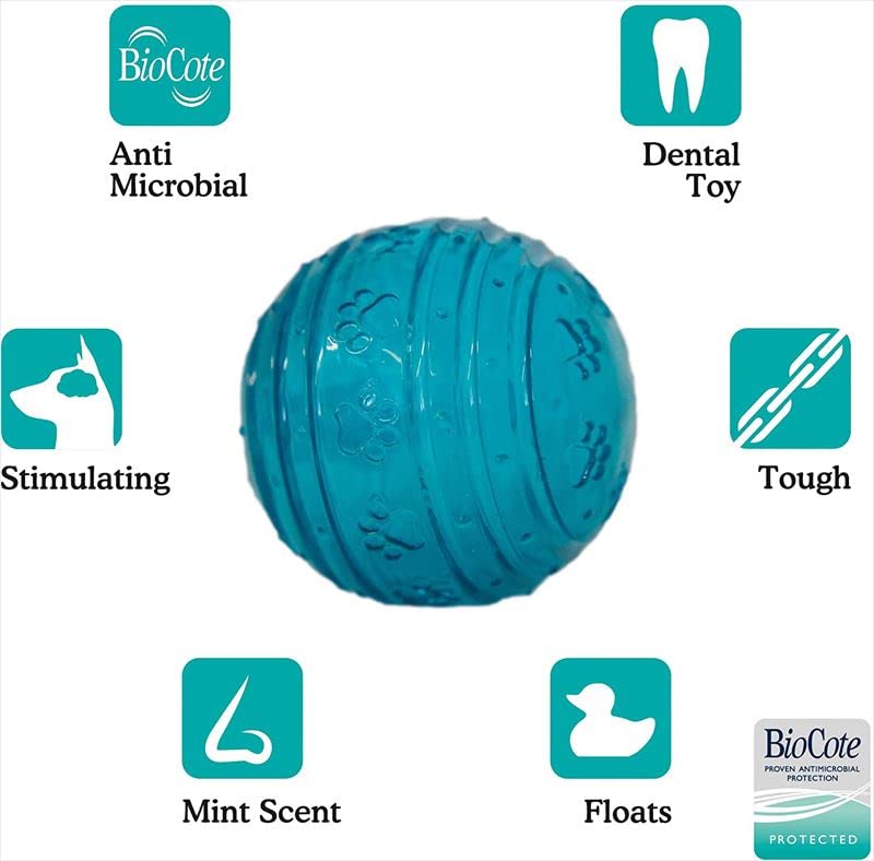 Rosewood BioSafe | Puppy Ball Toy