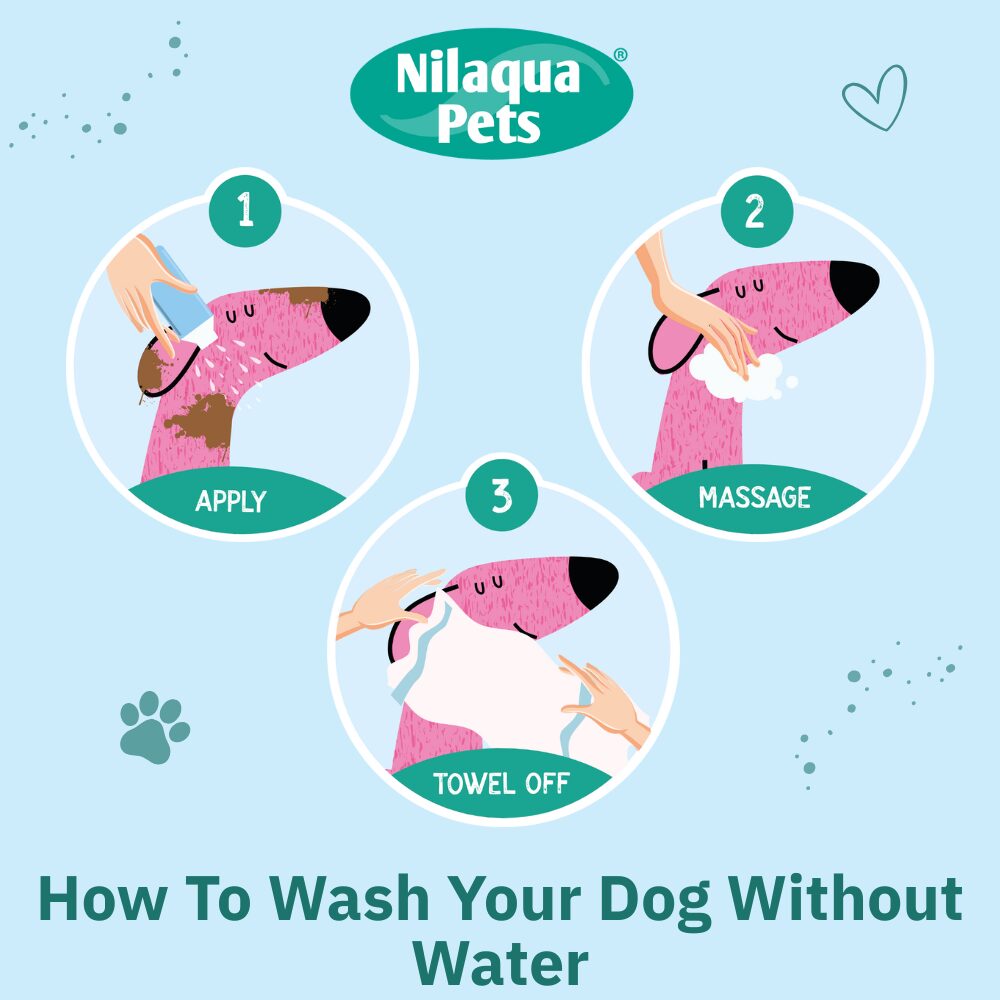 Dog no rinse Waterless shampoo, brand Nilaqua