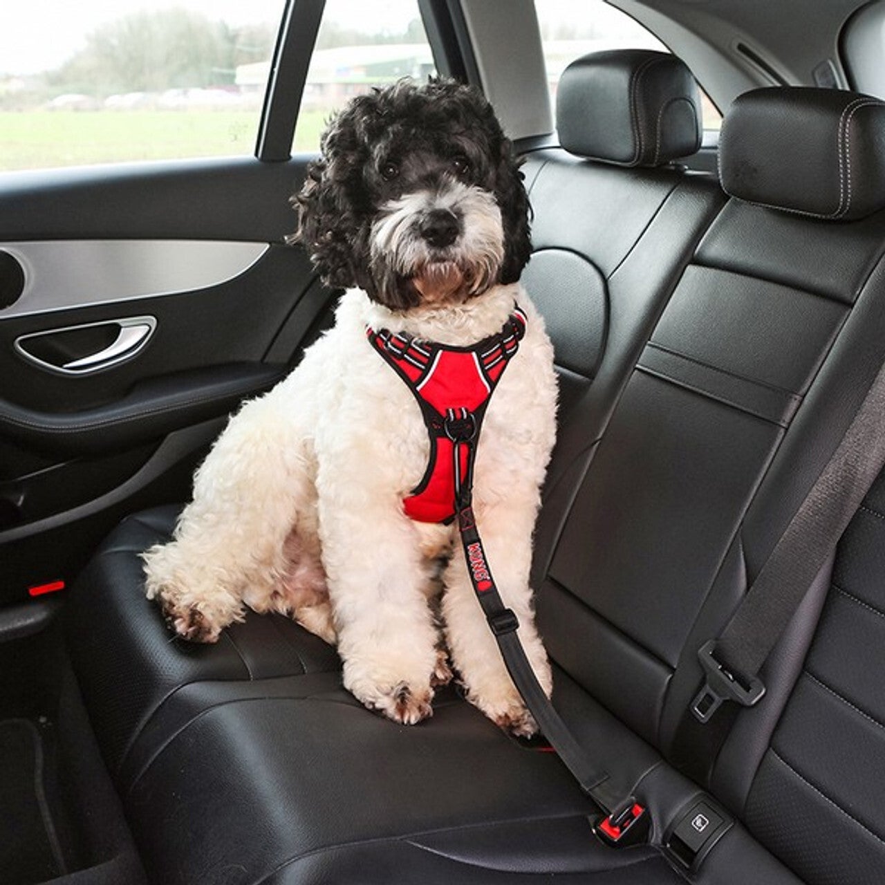 KONG | Pet Travel | Seat Belt Tether