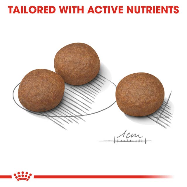 Royal Canin Medium Digestive ๐ Size Health Nutrition Dry Dog Food