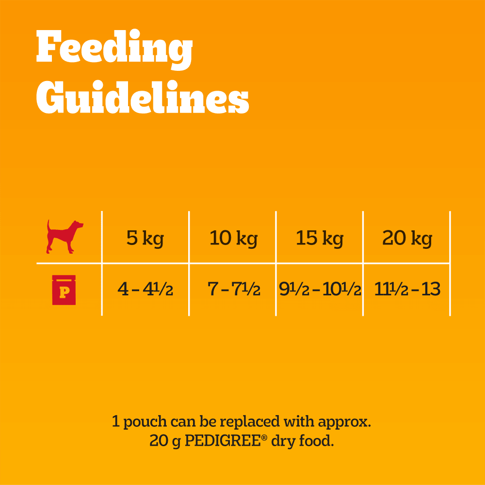 Pedigree Mixed Selection In Jelly Wet Dog Food Pouches 40 x 100g
