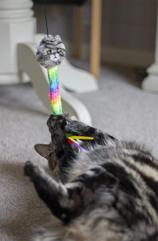 Rosewood | Cat Toy | Moody Moggy Rainbow Teaser