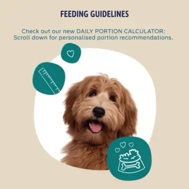 Beta Adult Large Breed Turkey ๐ฆ Dry Dog Food