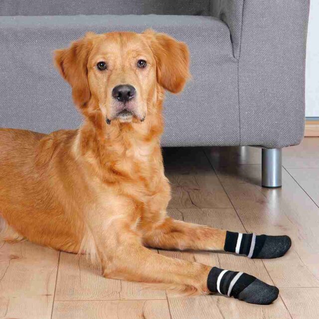 Trixie Non-Slip Dog Socks | Paw Protection & Anti-Slip Grip for Indoor Floors (2 Pack)