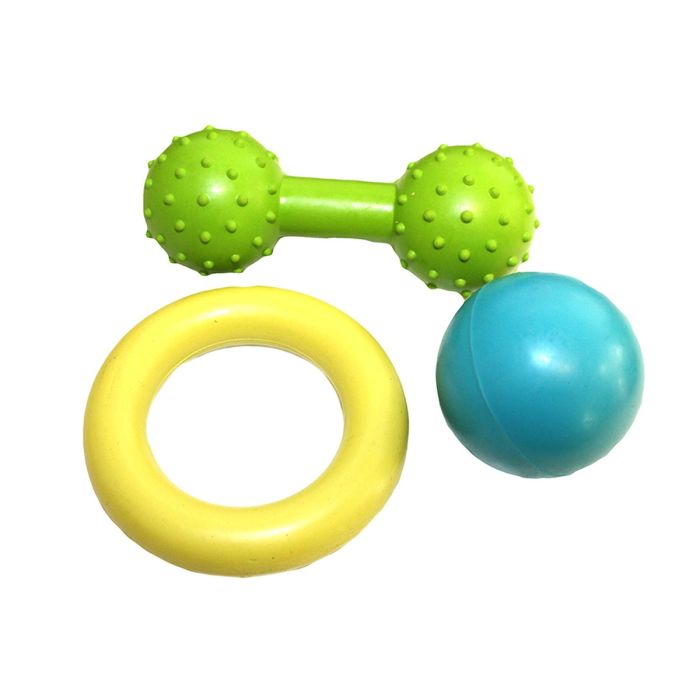 Set of colorful dog toys including a green dumbbell, yellow ring, and blue ball on a white background.