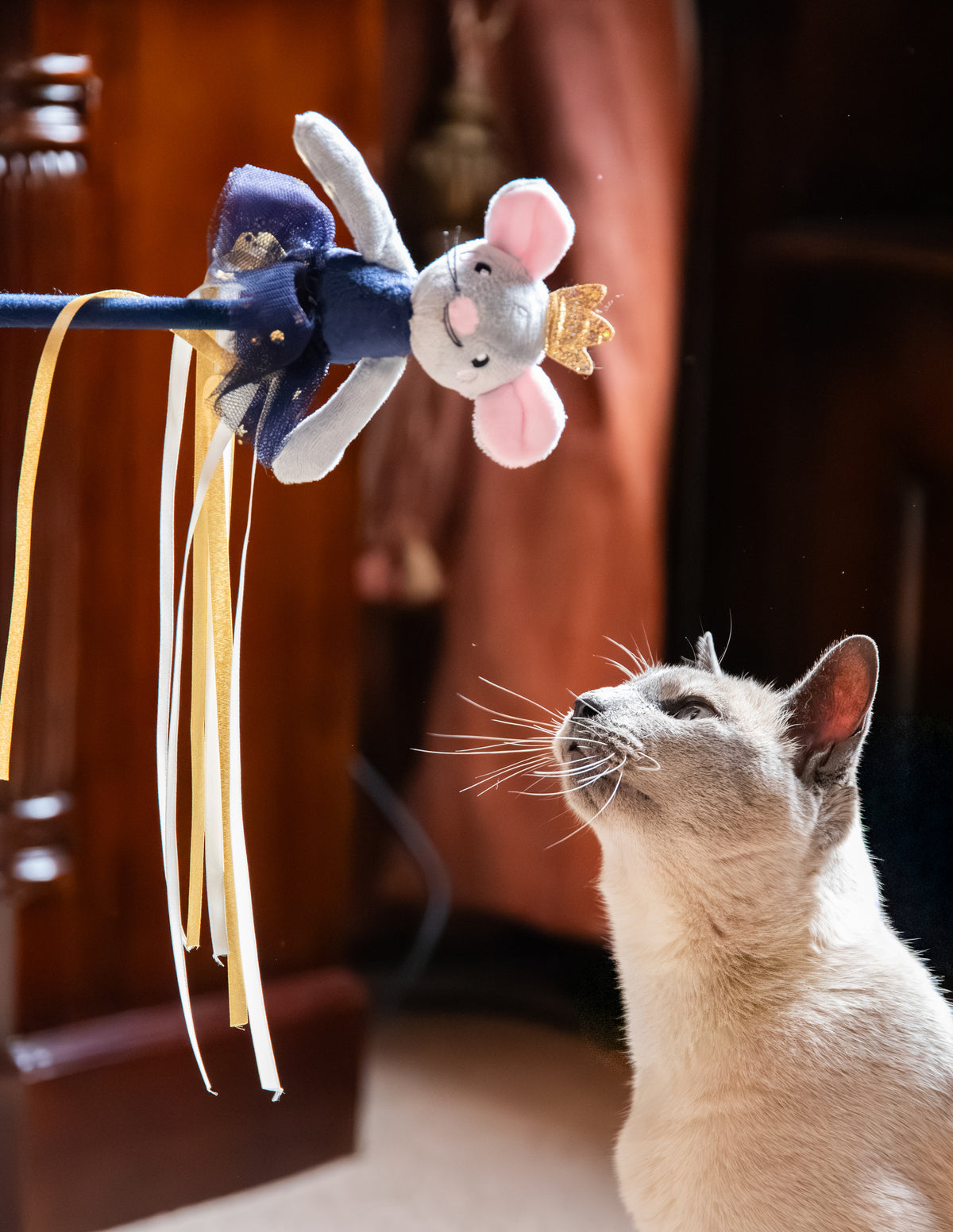 Marie Mouse Teaser 🎄 Christmas Cat Toy by Cupid & Comet