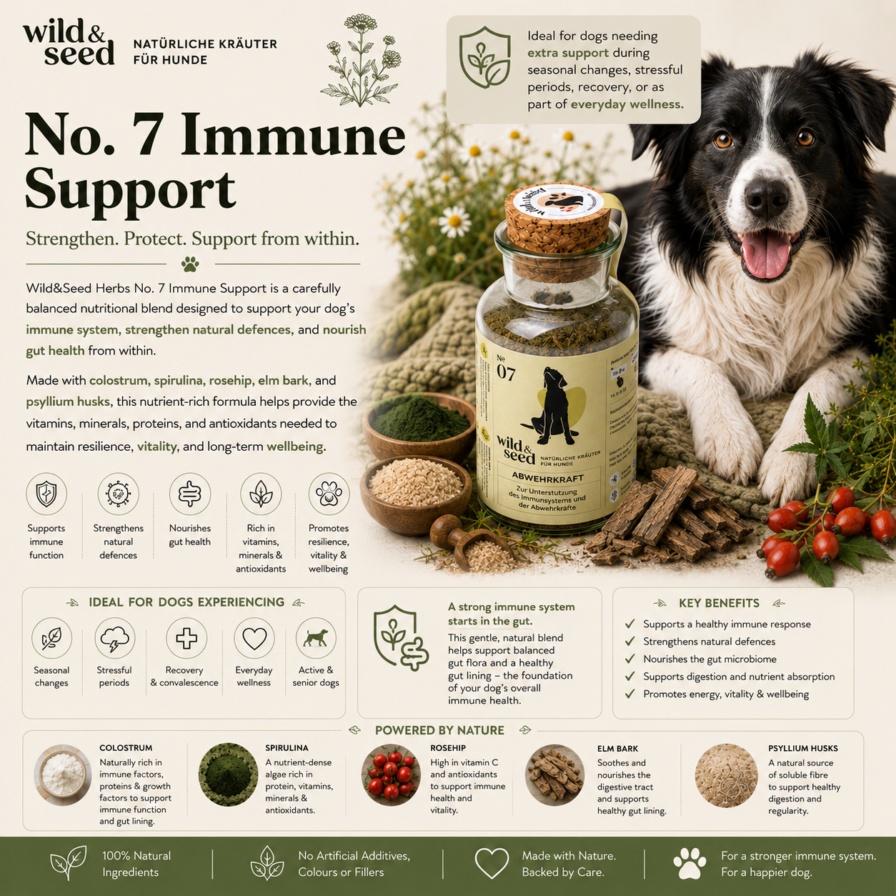 Wild&Seed Herbs No. 7 Abwehrkraft | Natural Immune & Gut Support for Dogs