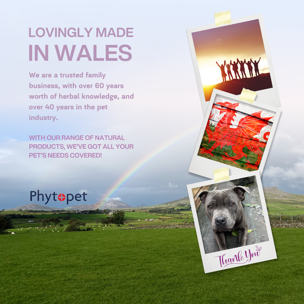 PhytoPet | Skin Aid | Sooth Irritation and Support Skin & Coat Health in Pets