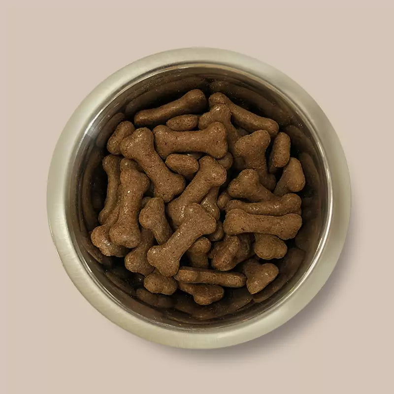 Pointer Beef Gravy Bones ๐ฎ Dog Biscuit Treats