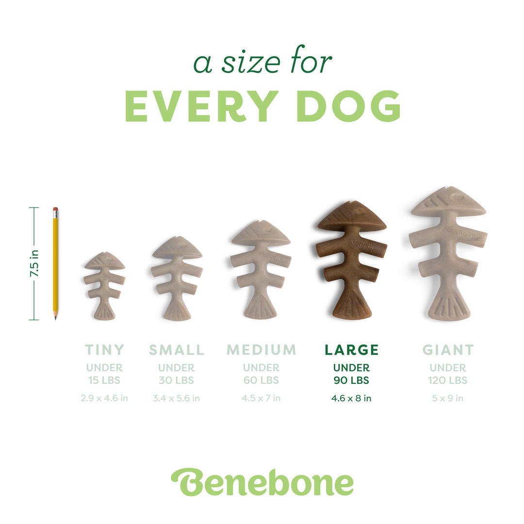 Benebone Jack Salmon Infused Fishbone | Durable Dog Chew Toy