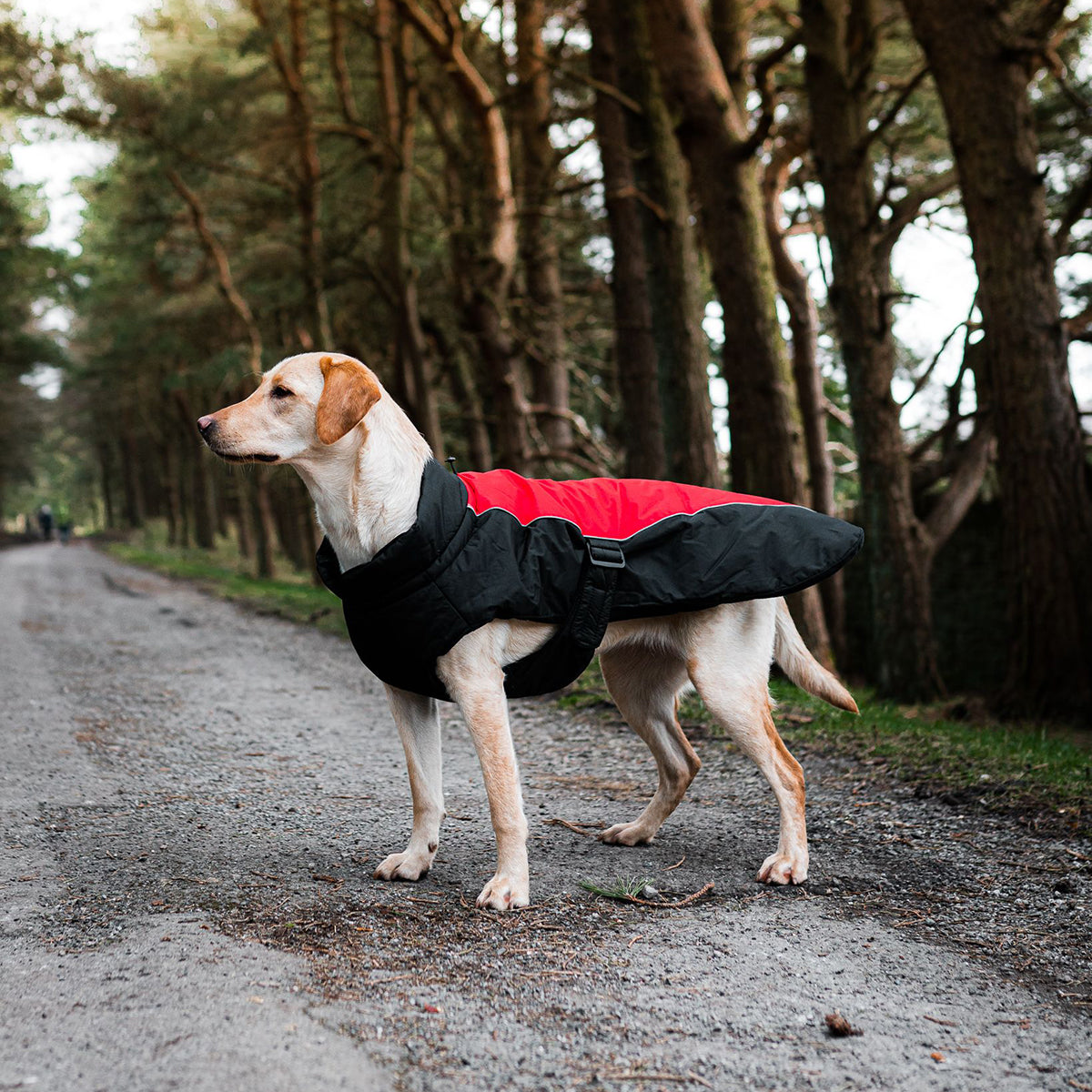 Danish Design Sports Luxe Dog Coat | Waterproof, Windproof & Thermal - Red/Black