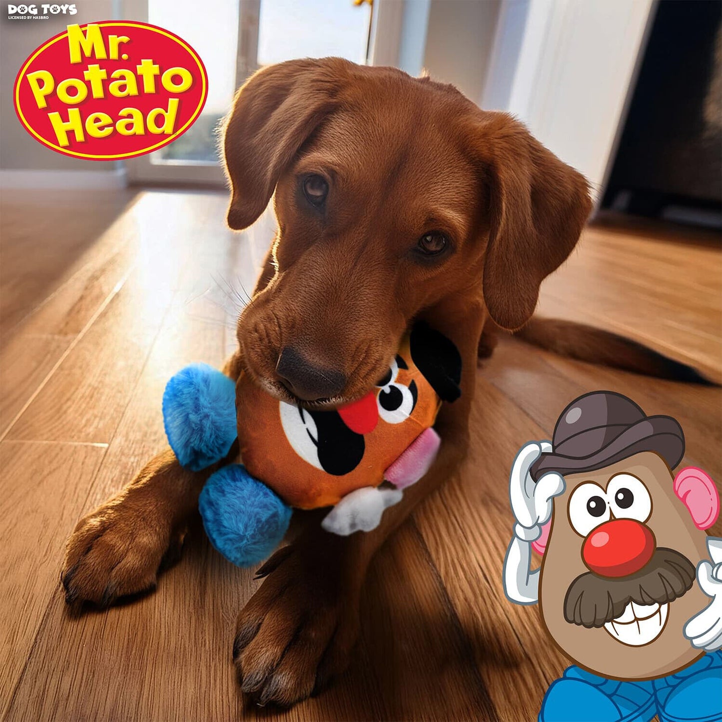 Hasbro | Squeak & Crinkle Dog Toy | Mr Potato Head