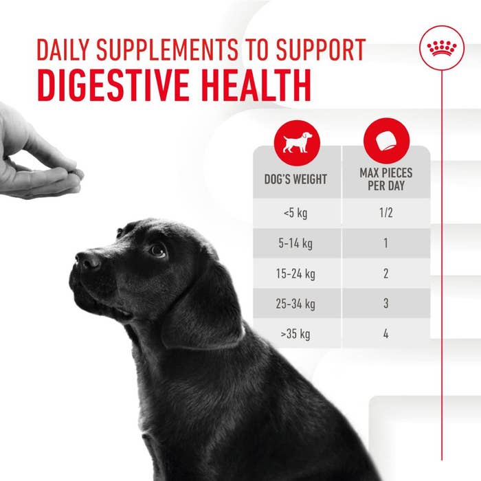 Royal Canin Immunity & Digestion Puppy Chews Functional Dog Treats - 100g