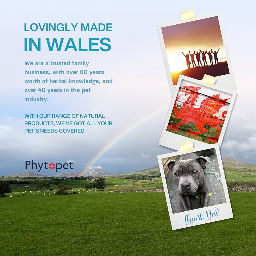 Phytopet | Herbal Remedy for Urinary Function & Bladder Control | Dry for Dribbles & Puddles