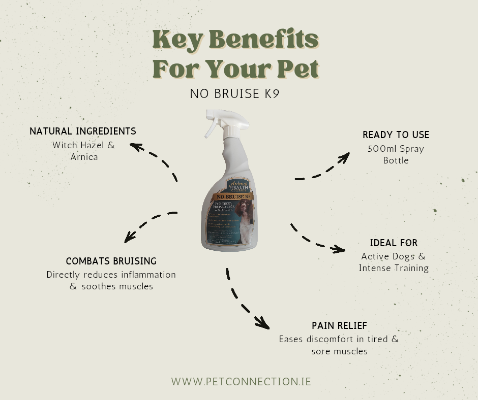 No Bruise | Muscle & Joint Spray for Dogs by Animal Health Company