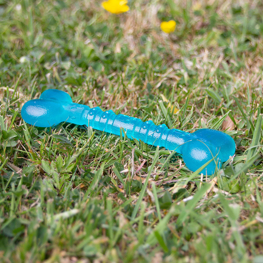 BioSafe Germ Smart Puppy Bone Antimicrobial MintScented Floating Chew Toy (Pink & Blue)