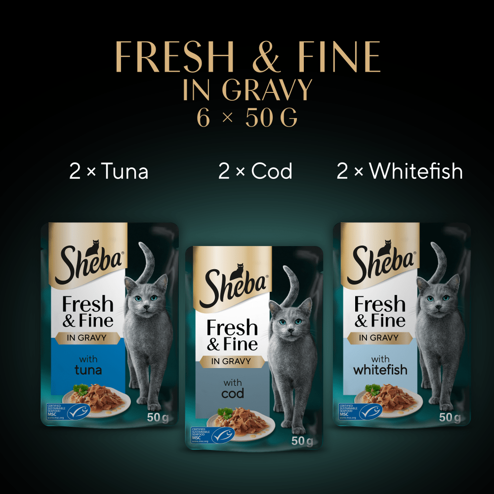 Sheba | Wet Cat Food Pouches | Fresh & Fine Single Servings | Tuna, Cod & White Fish Selection in Gravy - 6 x 50g