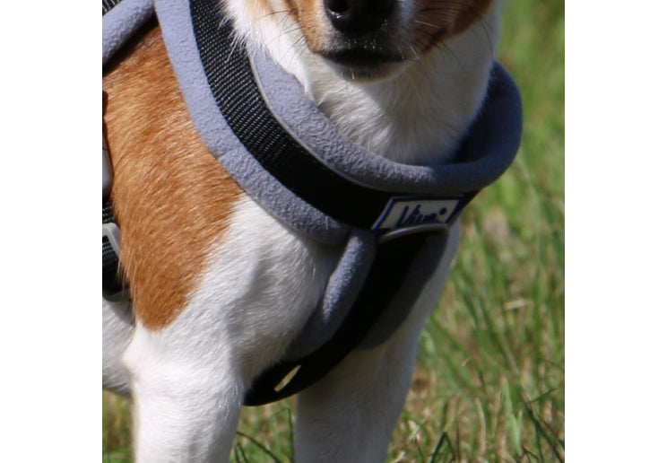 Ancol | Adjustable Dog Harness | Viva Reflective Padded - Black