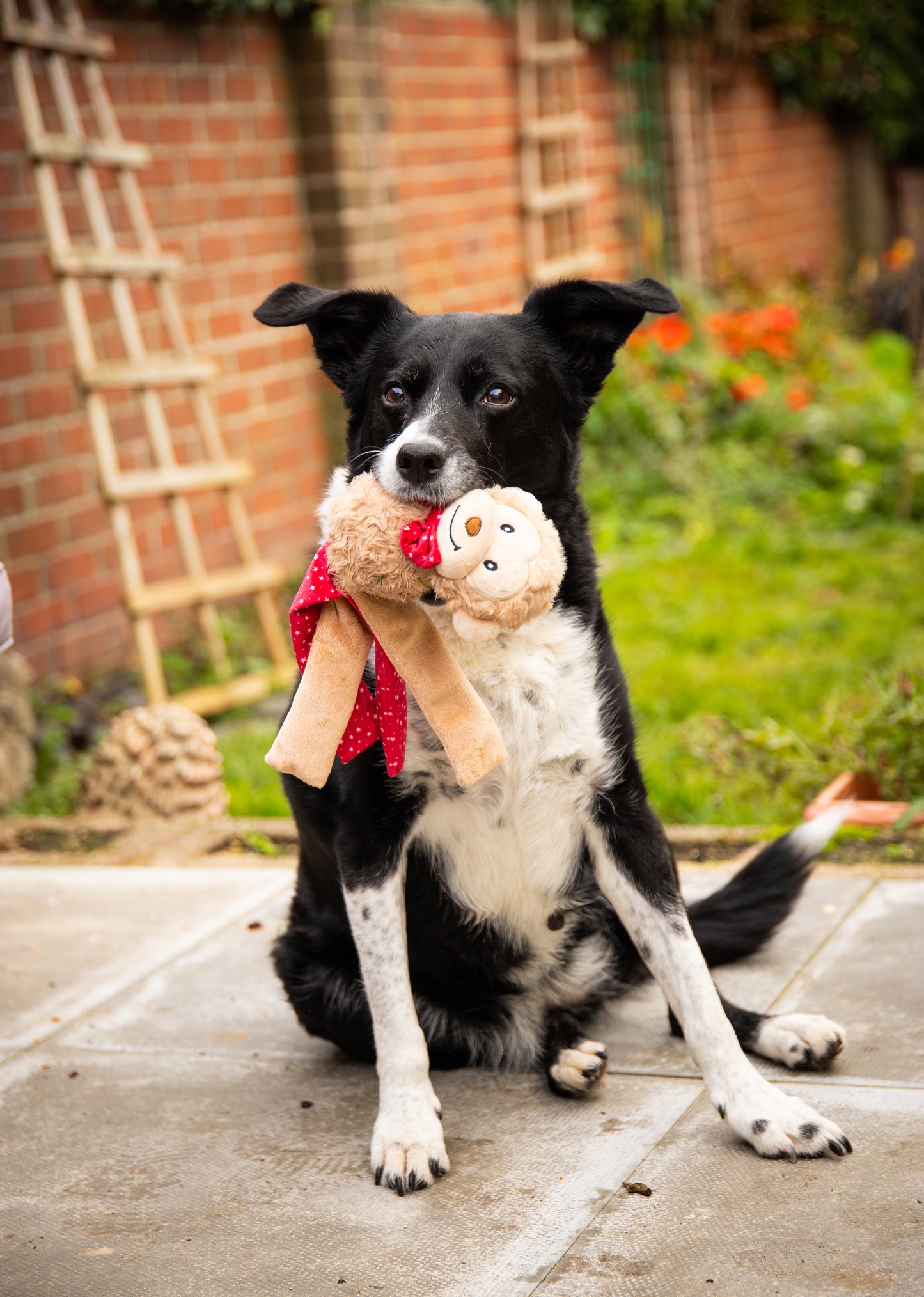 Rosewood Max Monkey | Festive Dog Toy