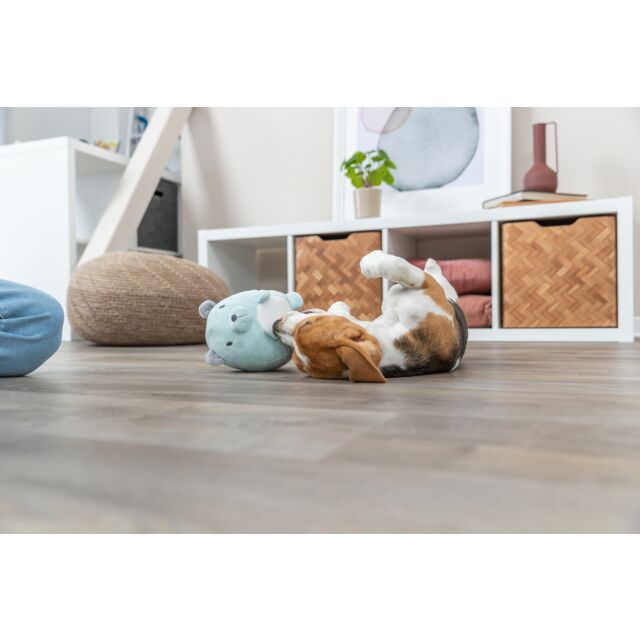 Dog playing with a plush toy on a wooden floor in a home setting